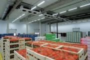 В 2015 году в России заработают первые центры приема фермерской продукции